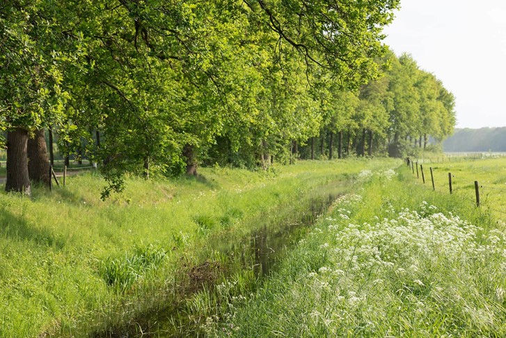 Omgeving (1)