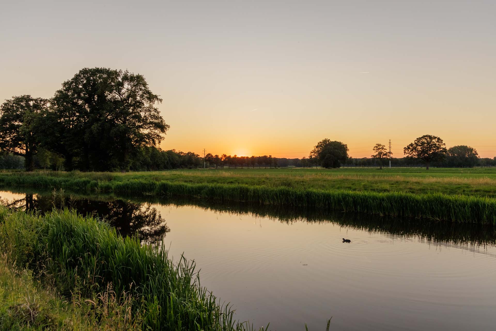 TB20240625 0542 HDR (1)