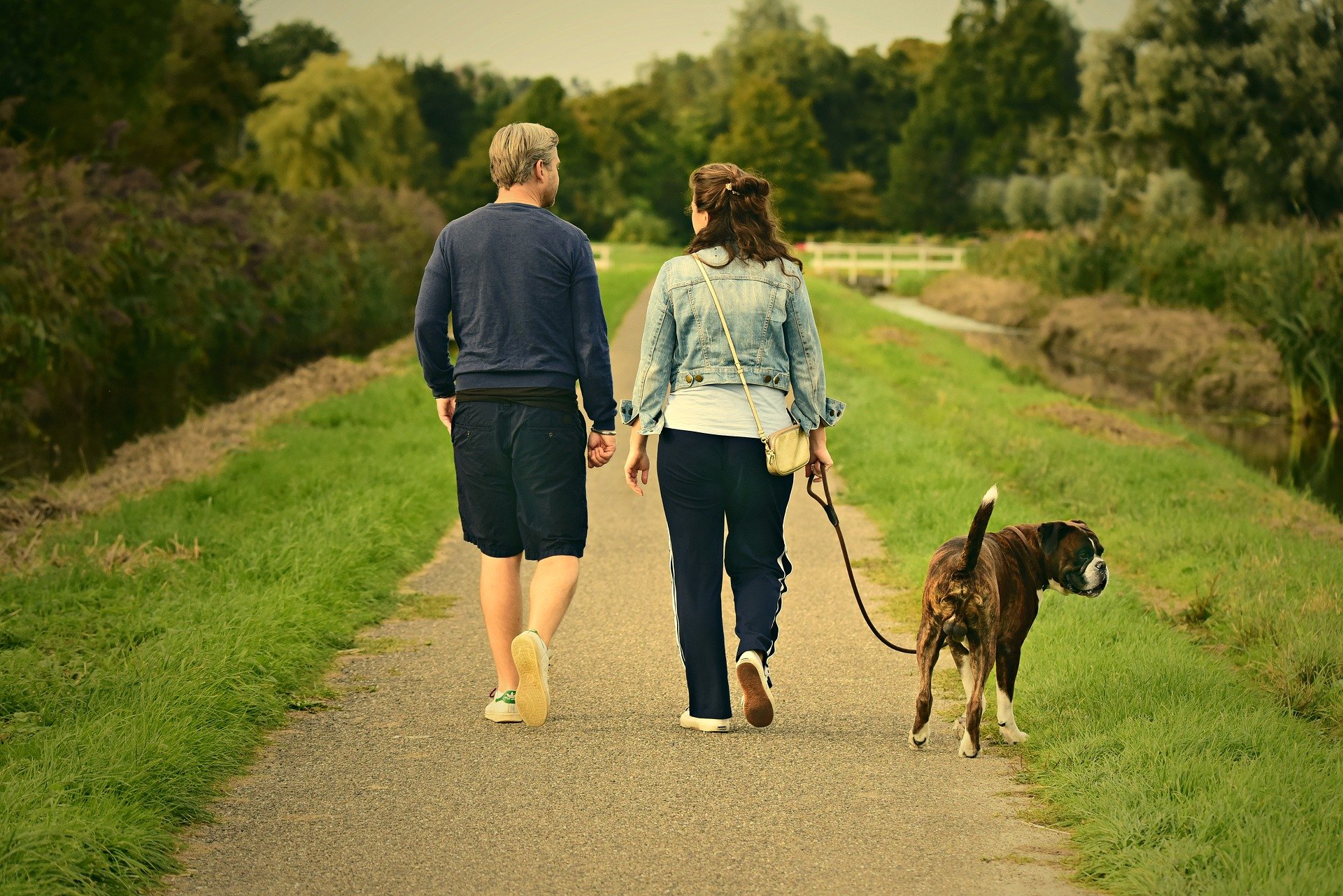 Camping mit Hund in Holland Twee Bruggen